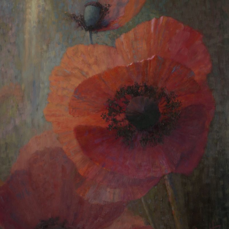 Poppies At Dawn