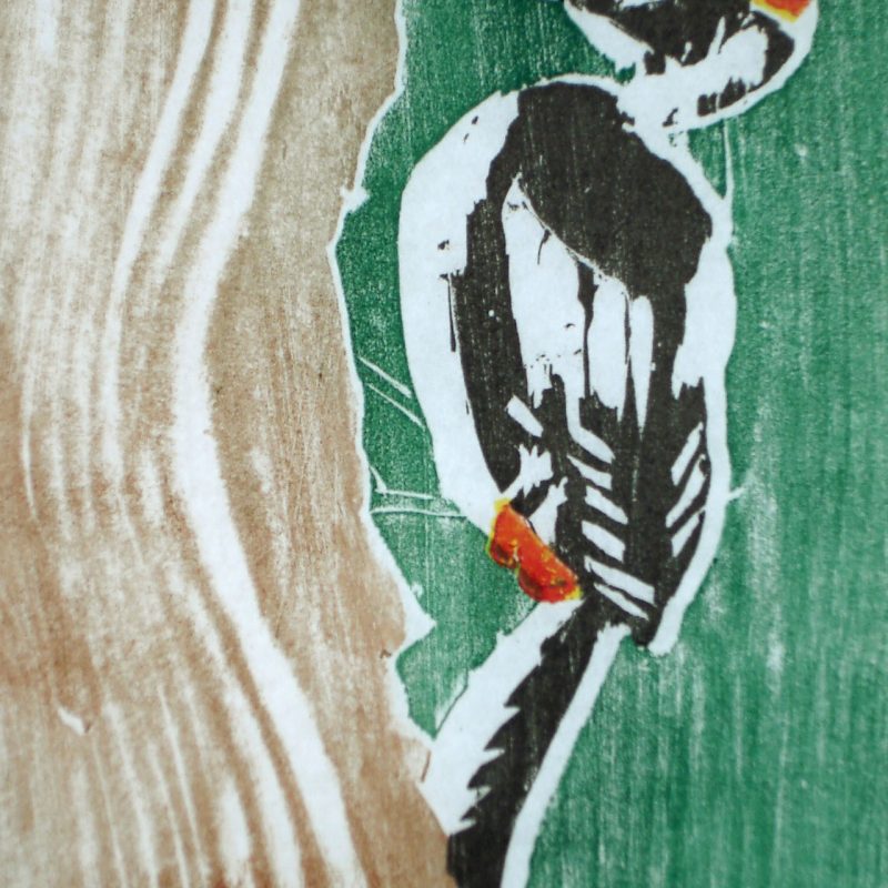 Woodpeckers 1 (Detail – Greater Spotted)